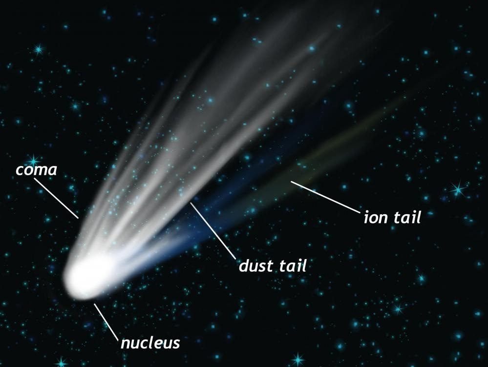 Structure typique d'une comète : noyau, coma, queue de poussière