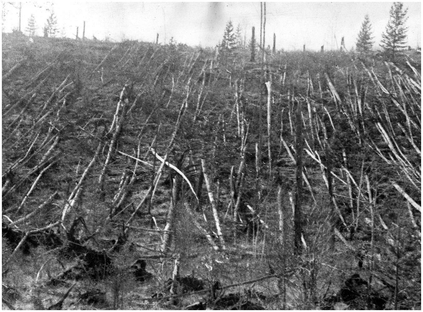 Forêt tombée sur le site de l'impact de la météorite de Toungouska.