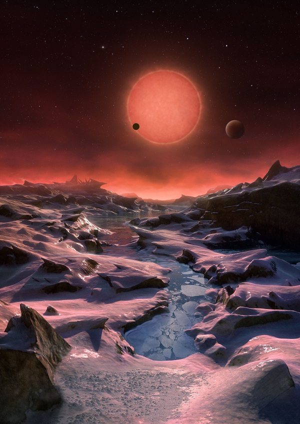 Vue de la surface de la planète TRAPPIST-1 d dans la vue d'artiste