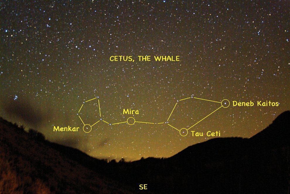 L'étoile Menkar dans la constellation de Kita