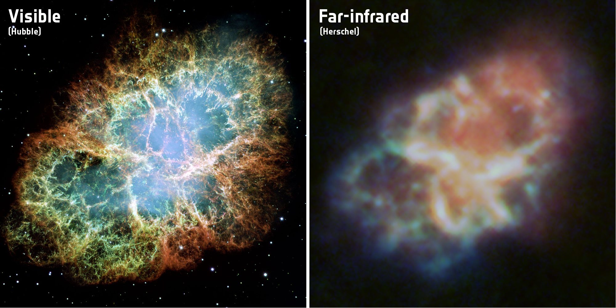Photographie de la nébuleuse du Crabe gazeuse dans le spectre visible (à gauche) prise par le télescope Hubble et dans le spectre infrarouge (à droite) fourni par l'observatoire Herschel.