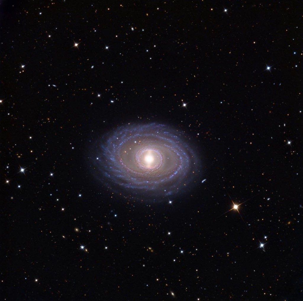 NGC 1398 est une galaxie spirale avec un anneau intérieur dense entourant le centre brillant du noyau.
