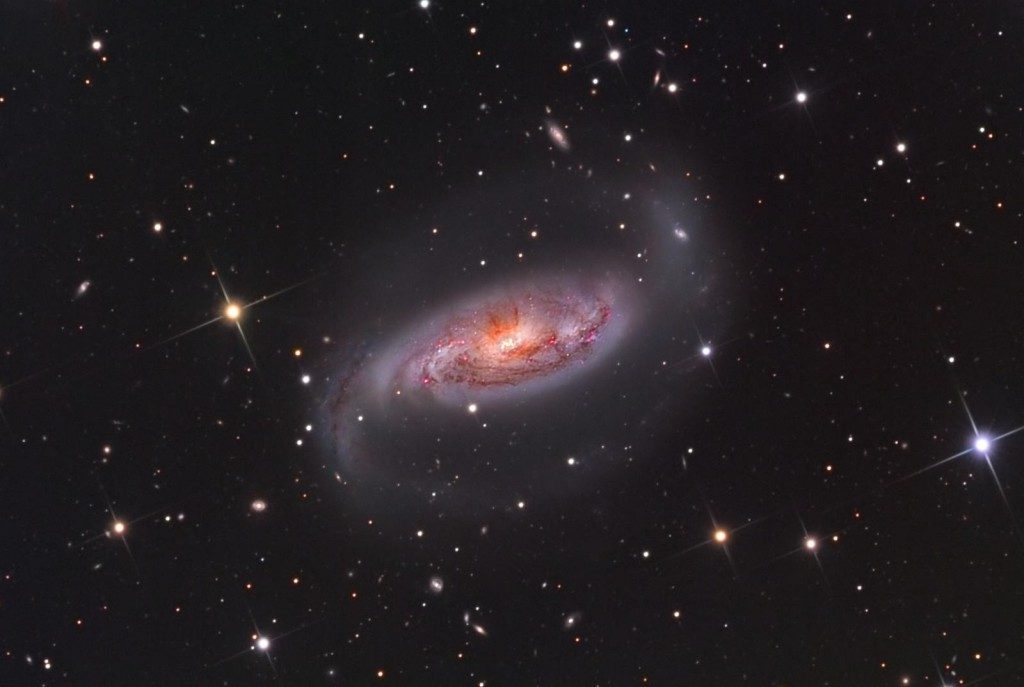 Galaxie NGC 1808