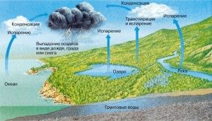Le cycle de l'eau dans la nature