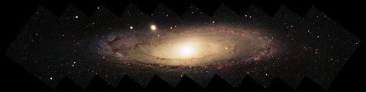 M31