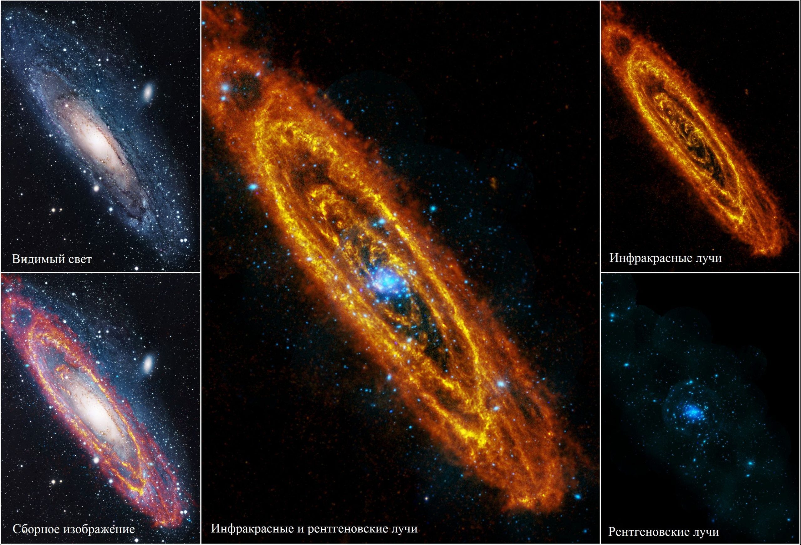 La galaxie d'Andromède dans différentes bandes du spectre électromagnétique