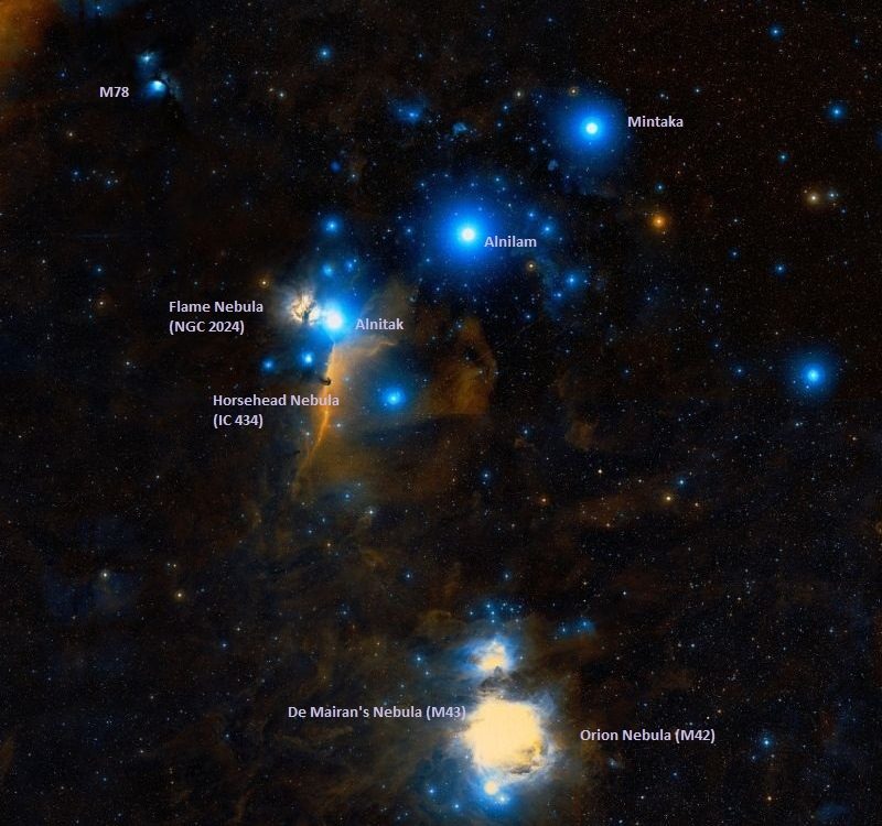 Voisins de la nébuleuse Messier 78 (de haut en bas) : la nébuleuse de la Flamme, la nébuleuse de la Tête de Cheval, la nébuleuse de Meran, la nébuleuse d'Orion.
