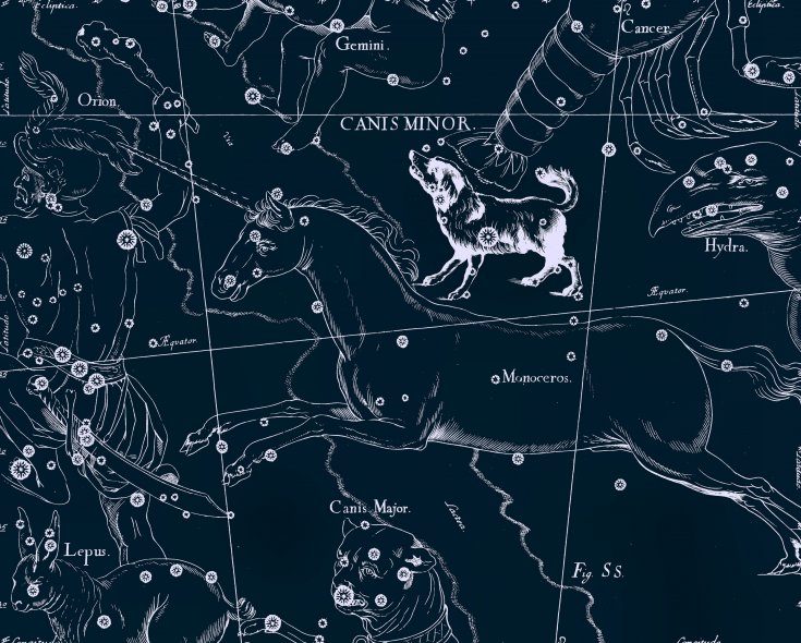 Petit Chien, dessin de Jan Hevelius tiré de son atlas des constellations