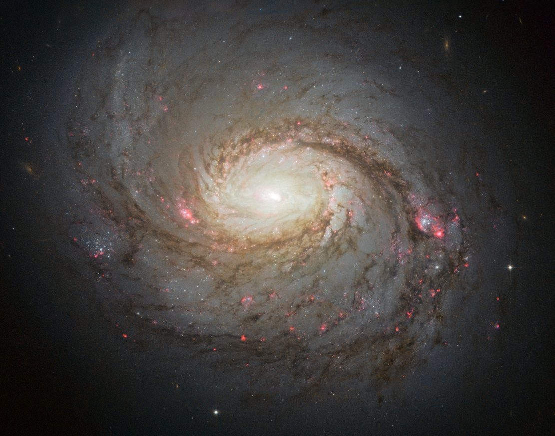 Galaxie spirale M77 (image du télescope Hubble)