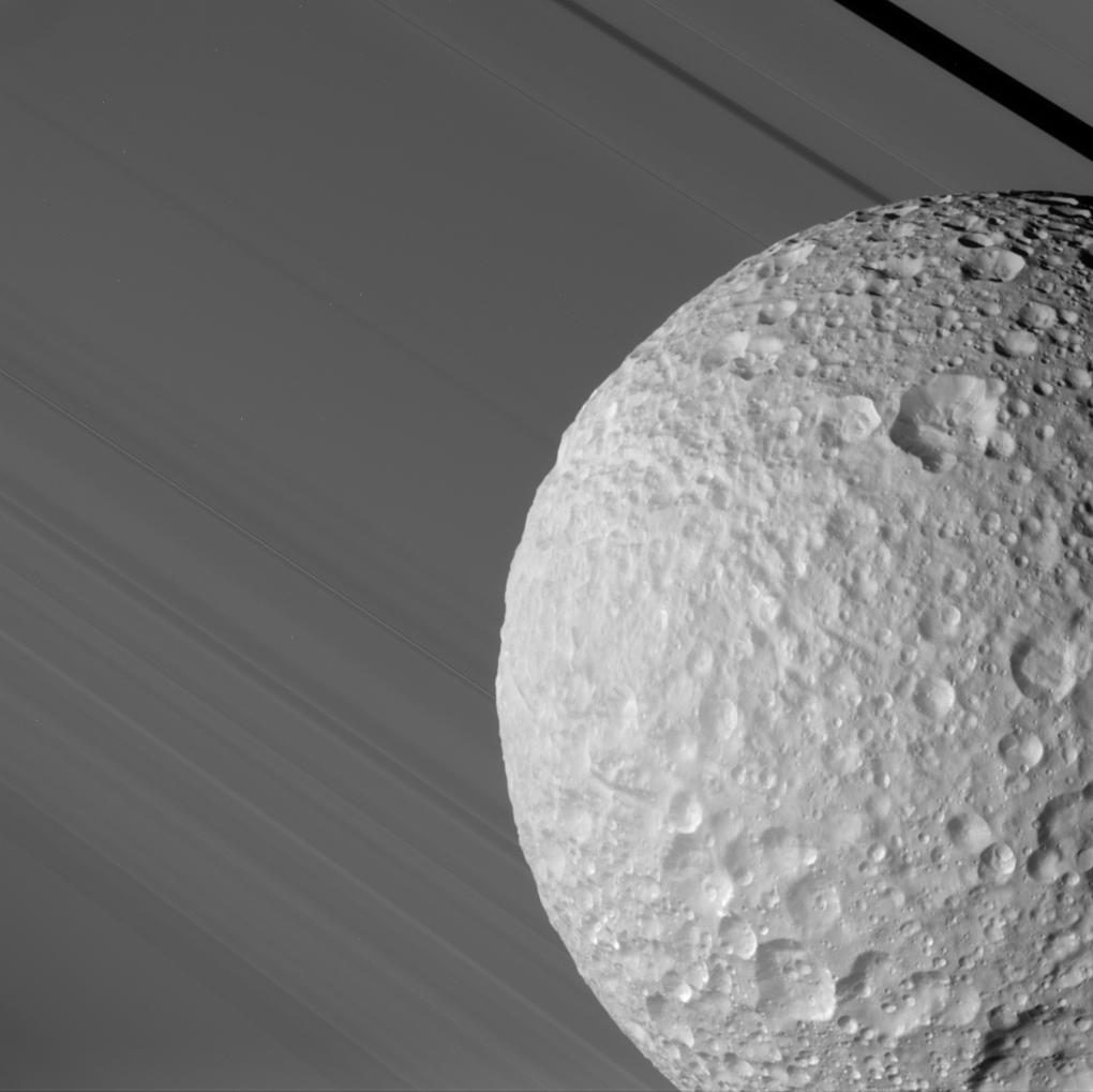 Mimas passe devant les anneaux de Saturne