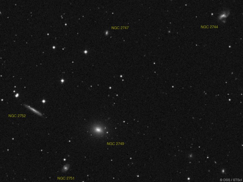 NGC 2749, NGC2747, NGC 2744, NGC 2751 et NGC 2752.