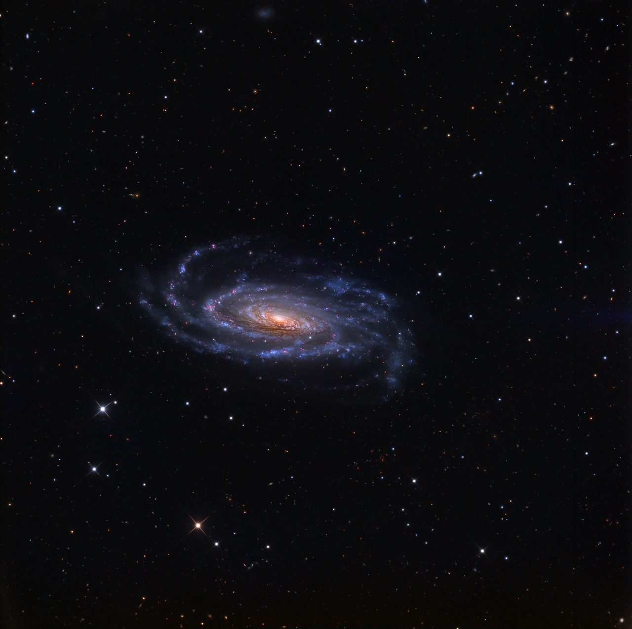Galaxie spirale NGC 5033