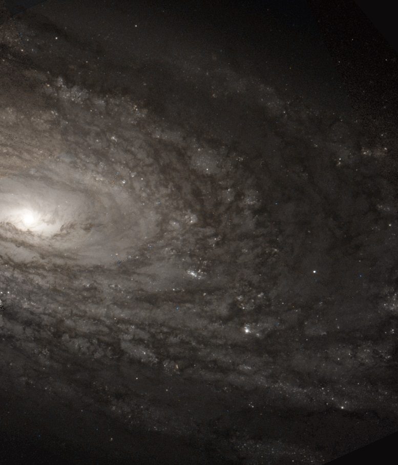 Galaxie M88 (photo du télescope Hubble)