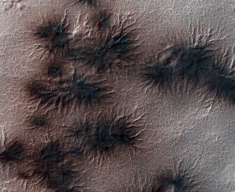 Araignées sur Mars