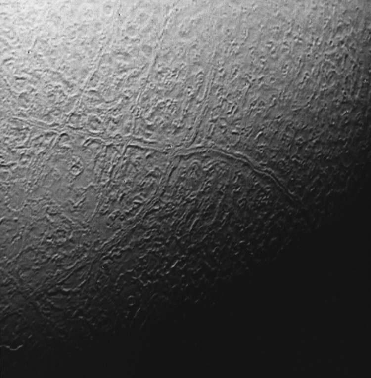 Surface de Triton couverte d'une croûte de melon