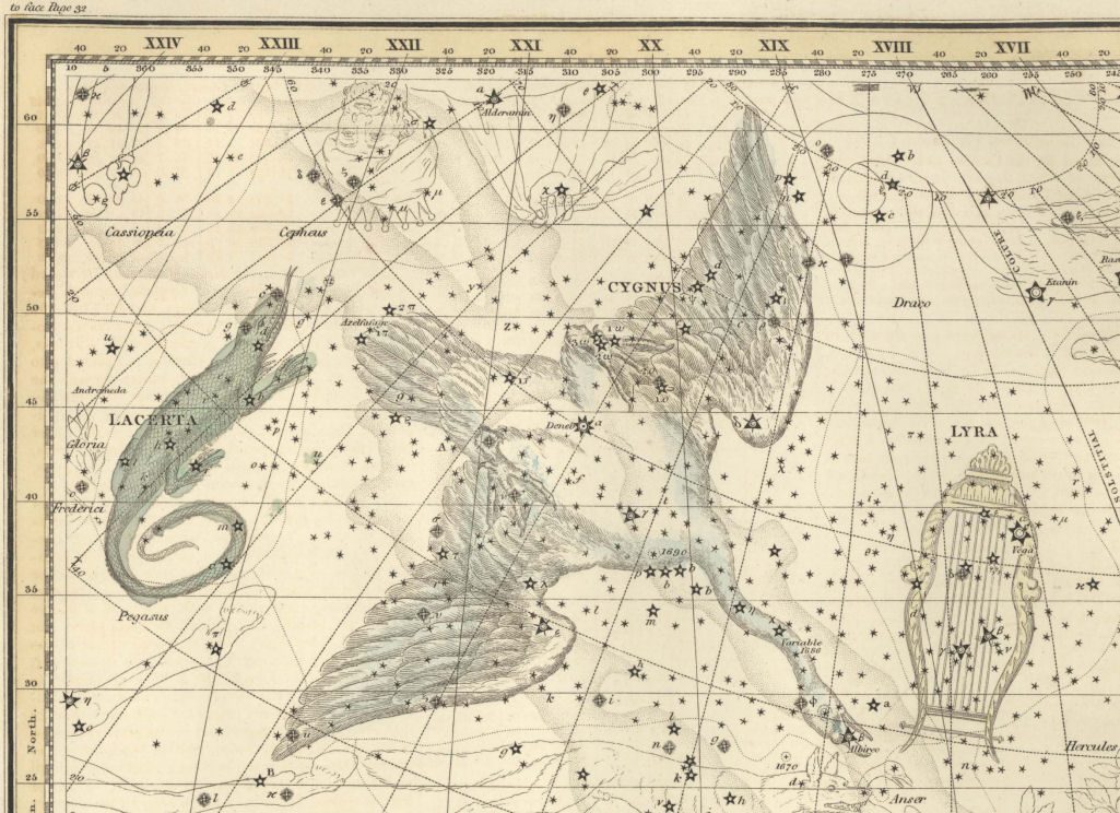 Dessin du Cygne tiré d'un vieil atlas du ciel étoilé