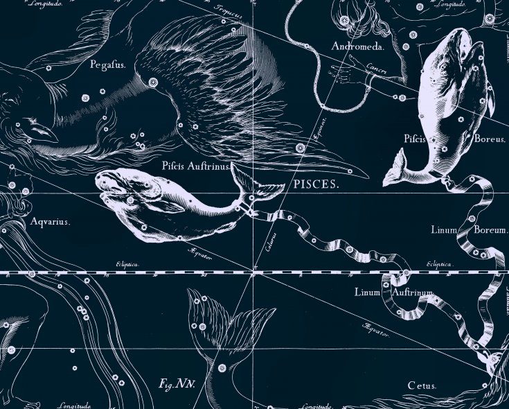 Les Poissons, dessin de Jan Hevelius d'après son atlas des constellations.
