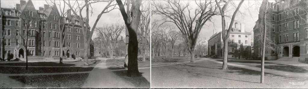 Panorama de l'université de Harvard. Vers 1910