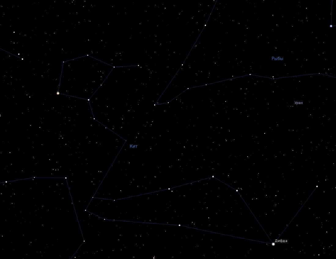 Capture d'écran de la constellation de la Baleine à partir du programme du planétarium.