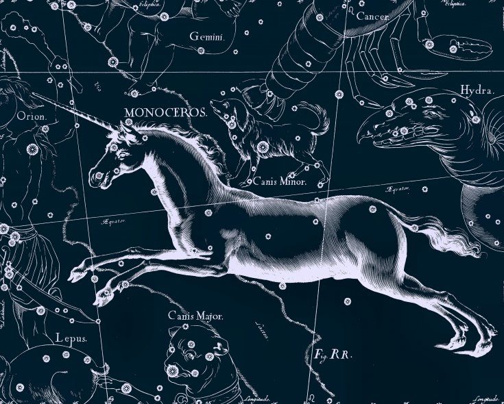 Constellation de la Licorne, dessin de Jan Hevelius tiré de son atlas des constellations
