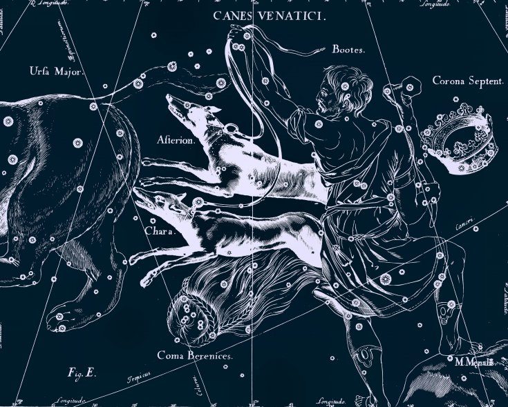 Constellation des chiens de chasse, dessin de Jan Hevelius d'après son atlas des constellations