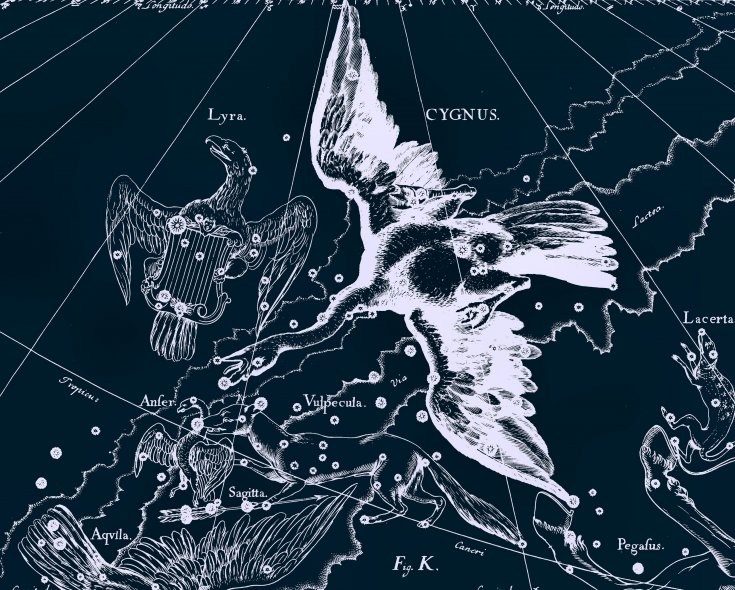 Constellation de la Lyre et du Cygne, d'après l'ancien atlas du ciel étoilé de Jan Hevelius