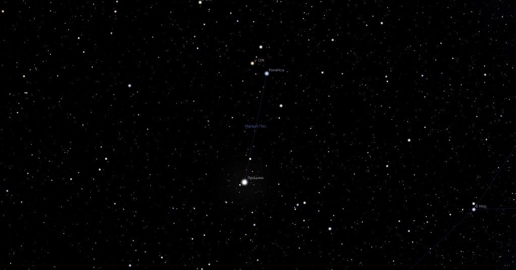 Constellation du Petit Chien, vue dans le programme du planétarium Stellarium
