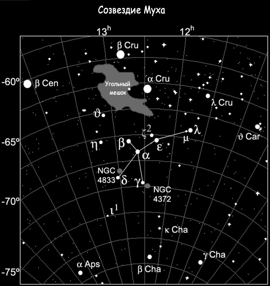 Constellation de la Mouche