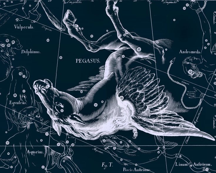 La constellation de Pégase dans l'atlas de Jan Hevelius