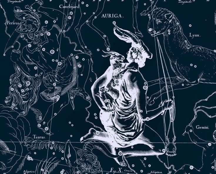 Constellation Ascendante, dessin de Jan Hevelius tiré de son atlas des constellations