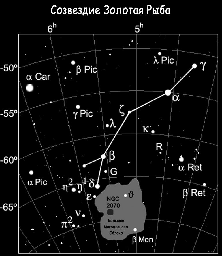 Constellation du poisson rouge