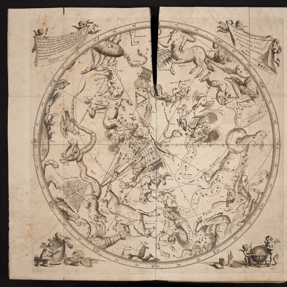 Constellations de l'hémisphère sud par Hevelius Jan, Uranographia 1690