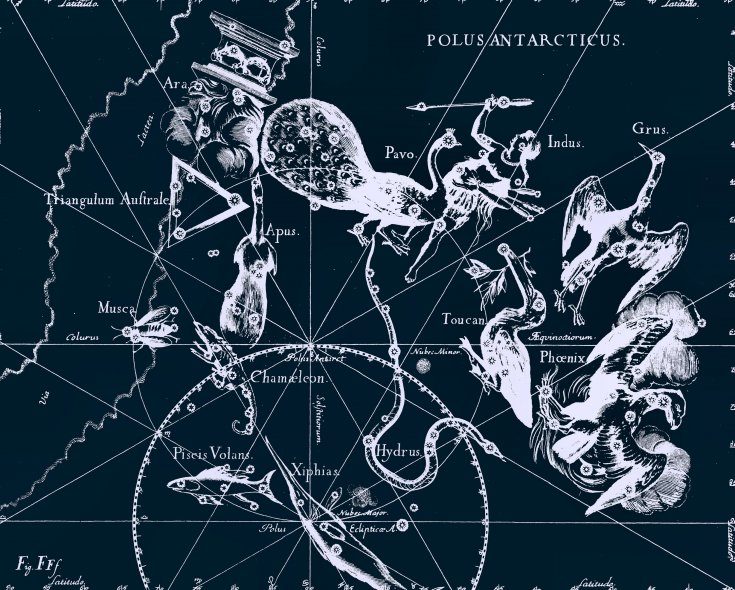 Constellation de l'Oiseau de Paradis (Apus), dessin de Jan Hevelius d'après son atlas des constellations