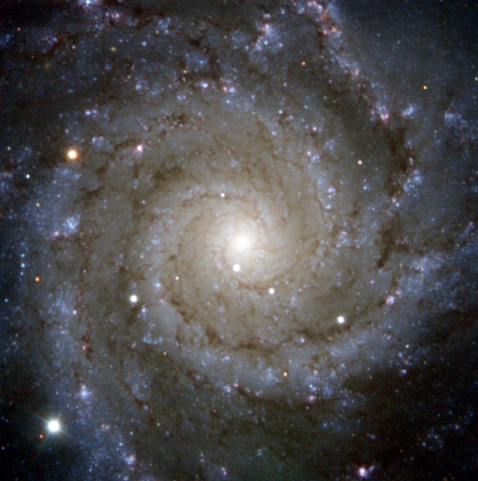 La galaxie spirale M74.