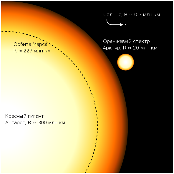 Comparaison des tailles d'Antarès, d'Arcturus, du Soleil et de l'orbite de Mars