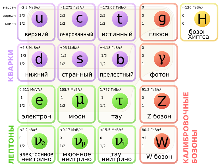 Modèle standard des particules élémentaires