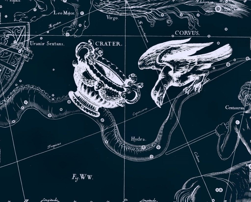 Corbeau, dessin de Jan Hevelius tiré de son atlas des constellations