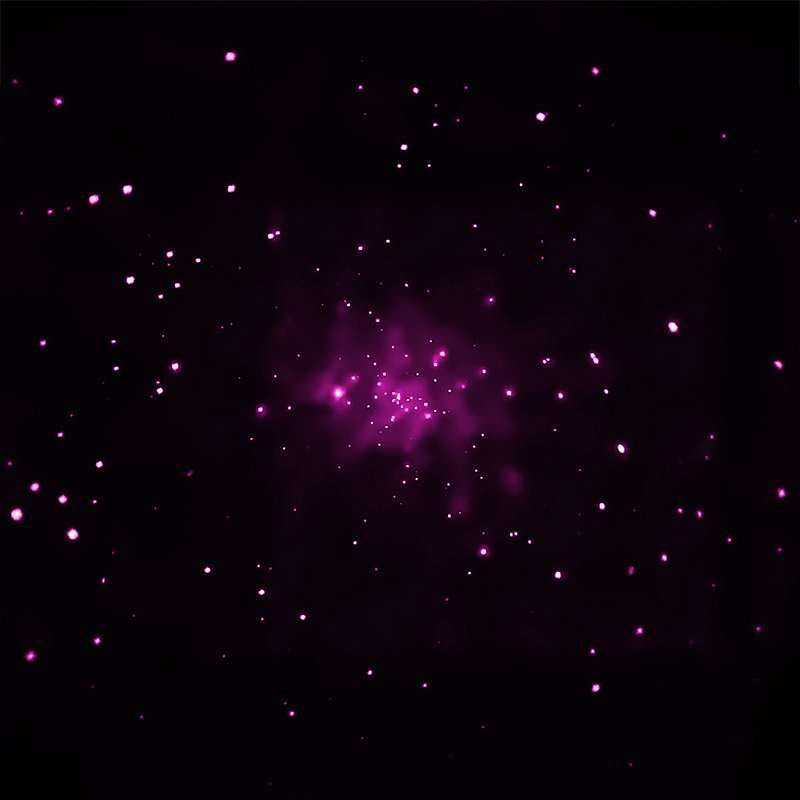 Le noyau de M31 dans les rayons X