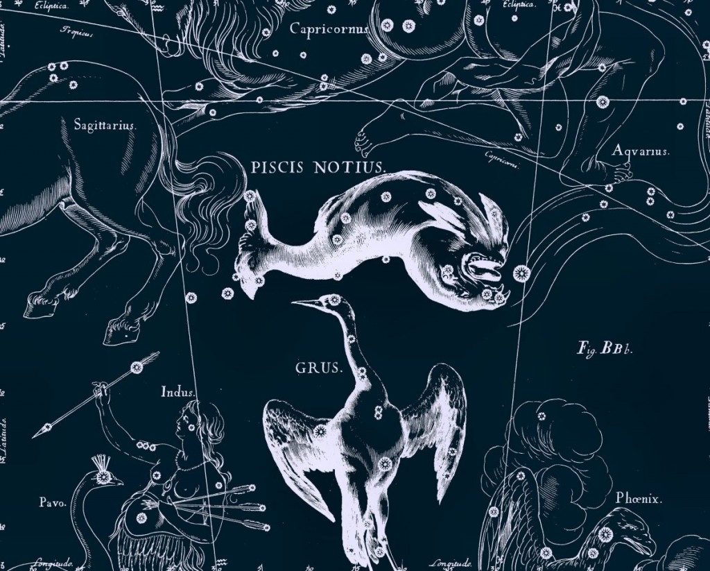 Poisson du Sud, dessin de Jan Hevelius tiré de son atlas des constellations